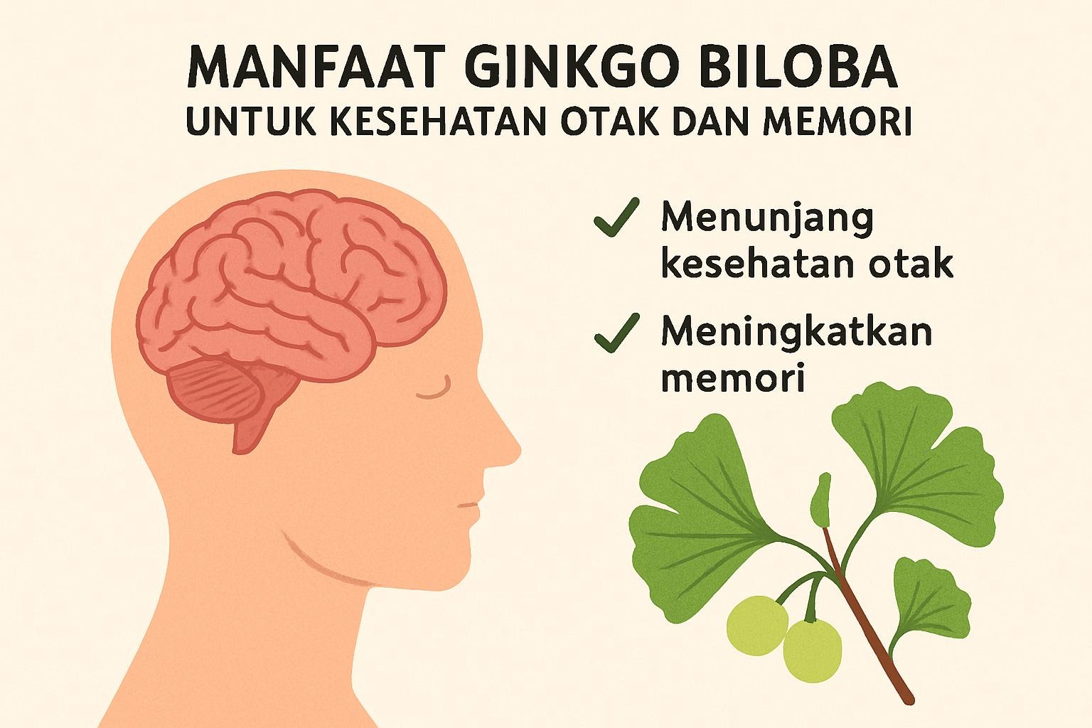 Ginkgo Biloba