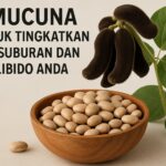 Mucuna untuk Tingkatkan Kesuburan dan Libido Anda