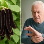 Studi Terbaru: Mucuna Bantu Atasi Gejala Parkinson